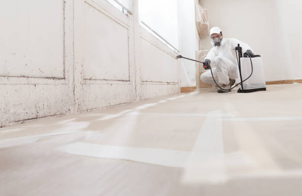 24/7 Emergency Mold Testing experts in Bordentown, NJ