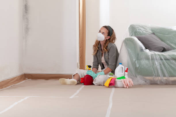 Reliable Mold Testing contractor in Bordentown, NJ by WQB Mold Removal